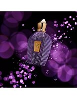 ACCENTO PURPLE